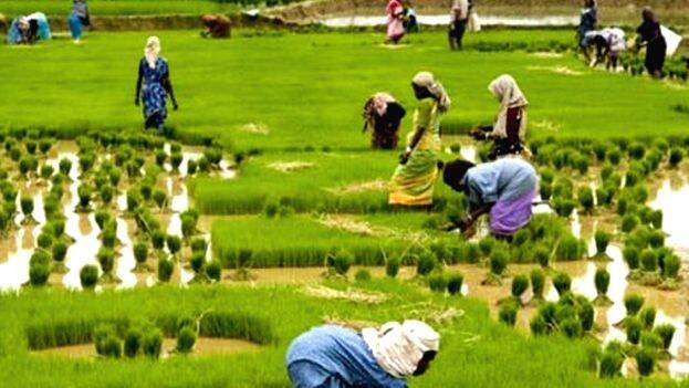 agri