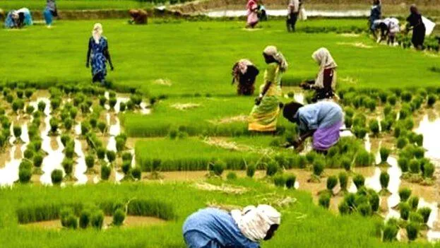 agri agri