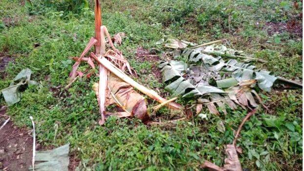 kothamangalam kothamangalam