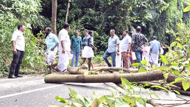 treevalara treevalara