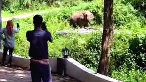 thenikattana thenikattana