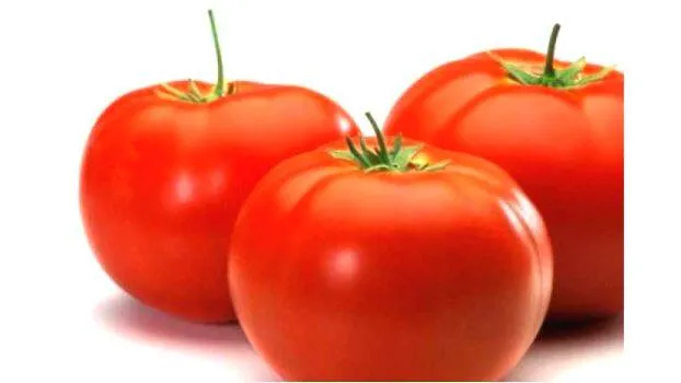 tomato