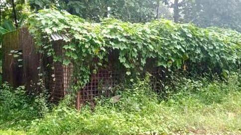 aganvadiii aganvadiii