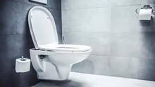 himachal-pradesh-govt-imposes-toilet-seat-tax