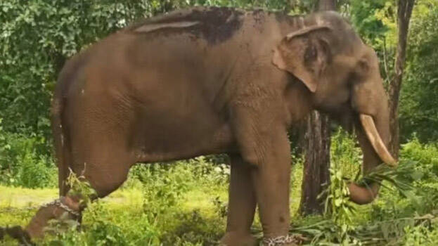 film-shooting film-shooting