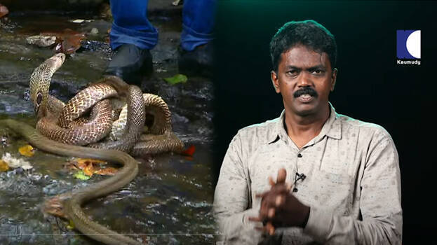 vava-suresh vava-suresh