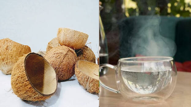 coconut-shell coconut-shell