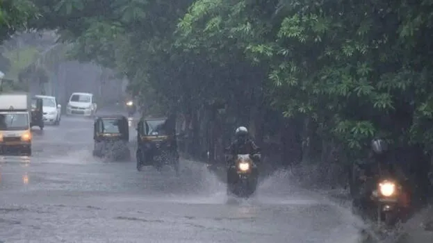 rain-alert