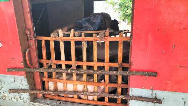 social-media social-media