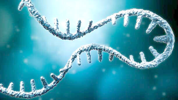 rna