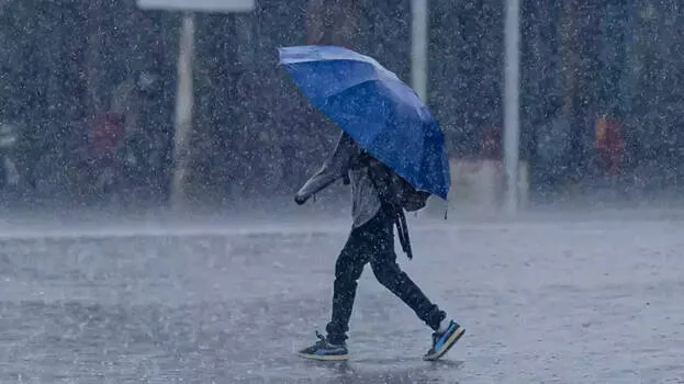 rain-alert