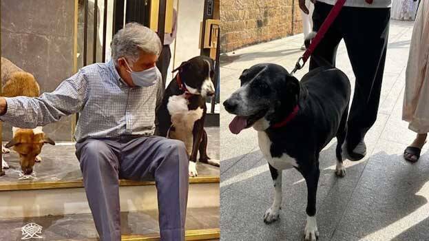 ratan-tata ratan-tata