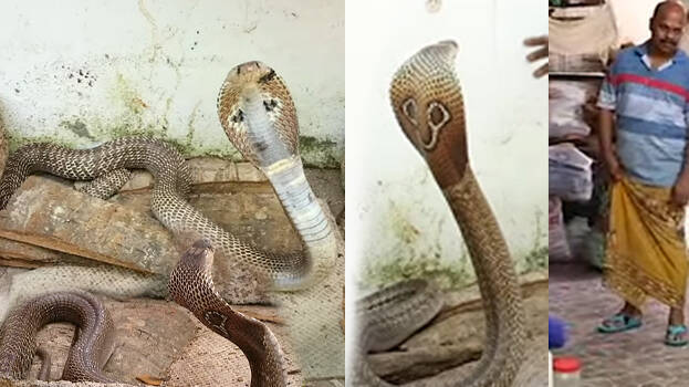 vava-suresh vava-suresh