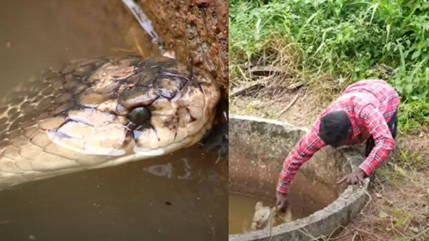 vava-suresh vava-suresh