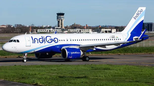 indigo