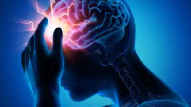 amoebic-meningoencephalit amoebic-meningoencephalit