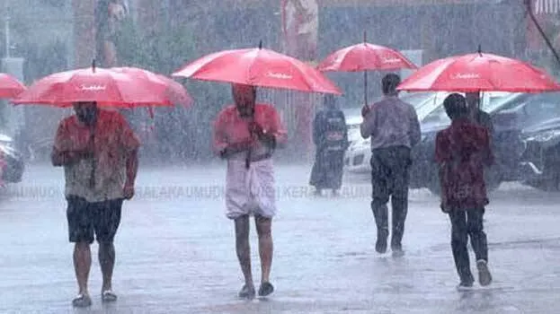 rain