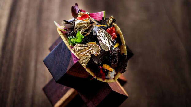 grand-velas-tacos- grand-velas-tacos-