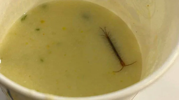 food