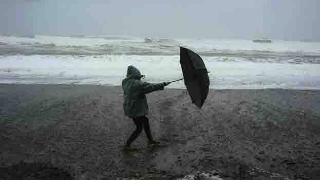 dana-cylcone dana-cylcone