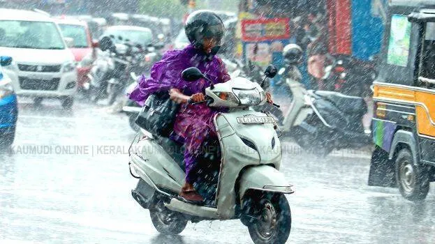 rain
