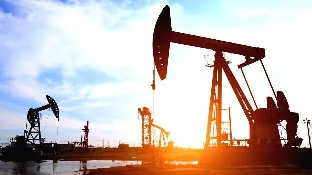 crude crude