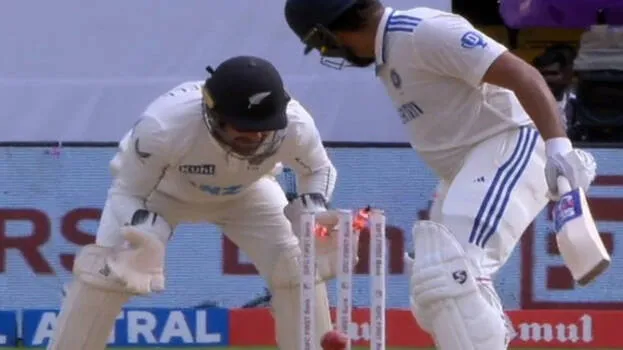 cricket