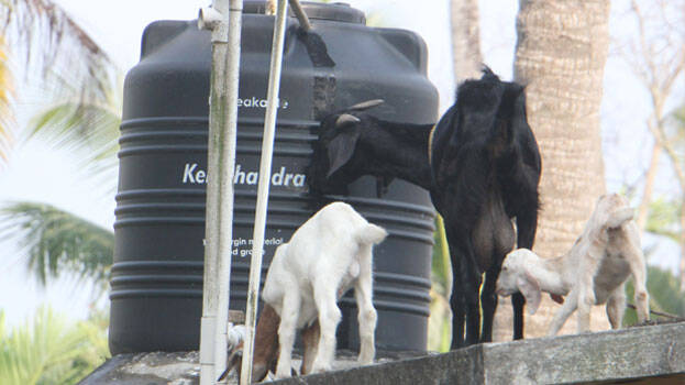 water-tank water-tank