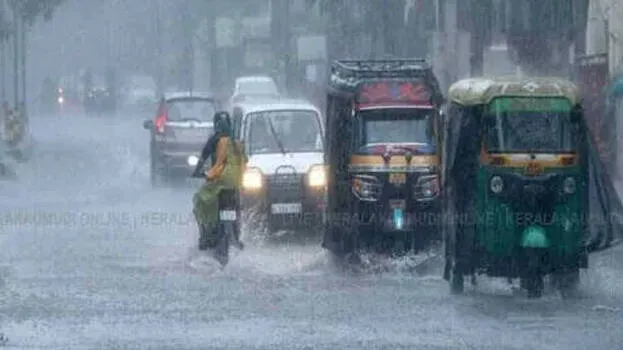 rain