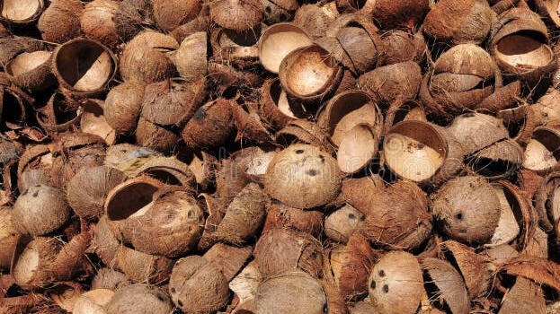 cocnut-shell cocnut-shell