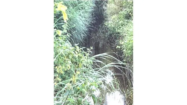 canal