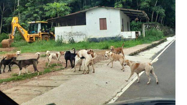 theruv-naya theruv-naya