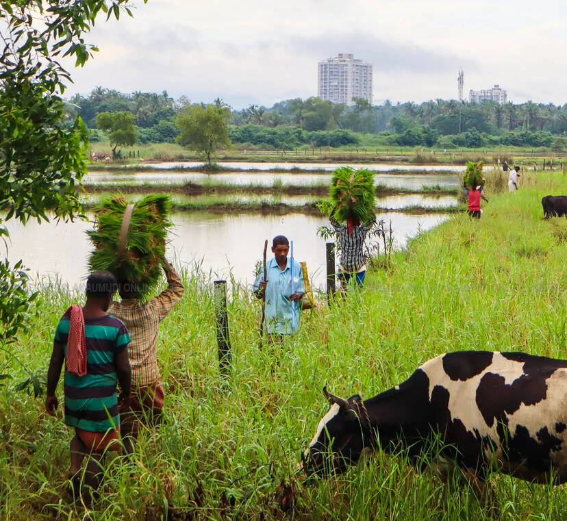 Kerala Kaumudi Photo Gallery