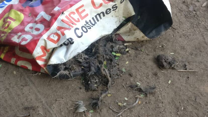 malayanyam malayanyam