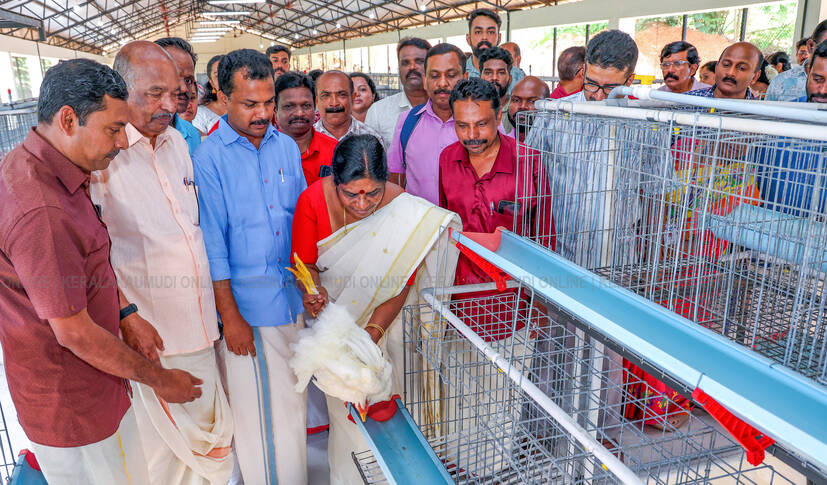 chinjurani chinjurani