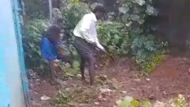 pallikal-schoolil-kaduvet pallikal-schoolil-kaduvet