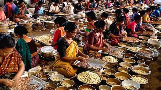 cashew-workers cashew-workers