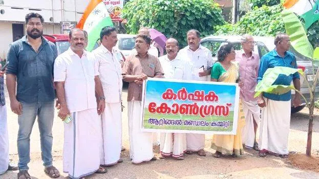 vazha-nattu