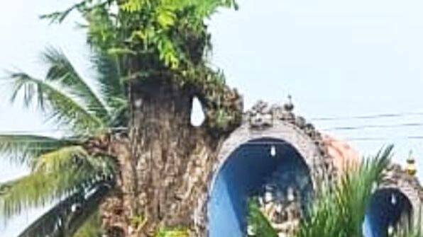 maram-murichmatti maram-murichmatti