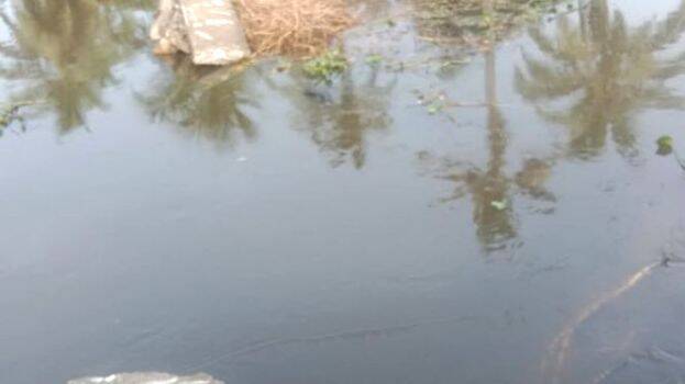 kuttanattu kuttanattu