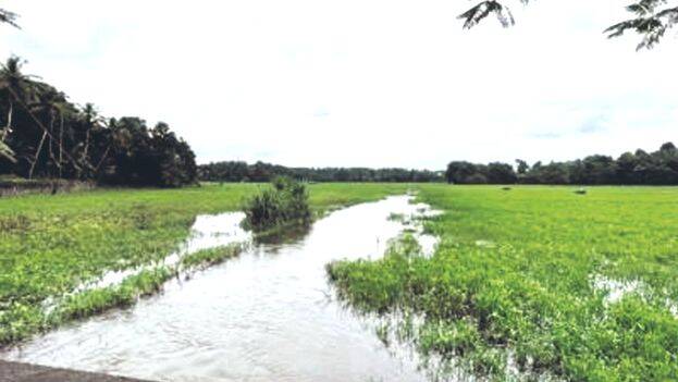 thumbicahl thumbicahl