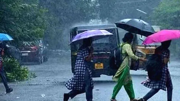 rain rain
