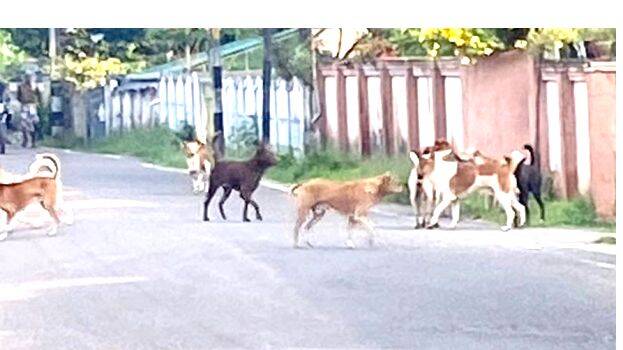 tharuvunaya-paravur- tharuvunaya-paravur-