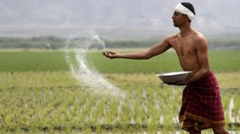 farmer