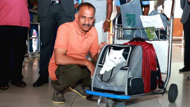 ramachandran ramachandran