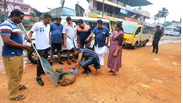 dog-vaccination- dog-vaccination-