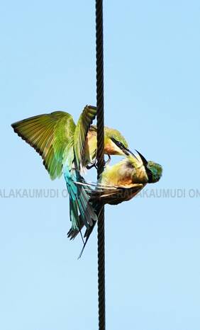 Kerala Kaumudi Photo Gallery