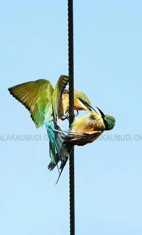 Kerala Kaumudi Photo Gallery