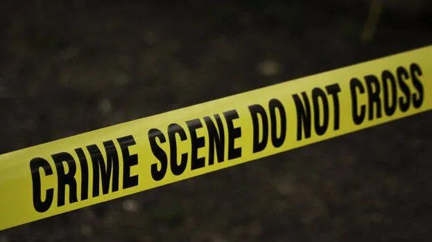 murder-case