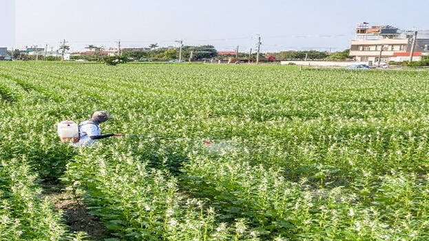 agriculture agriculture
